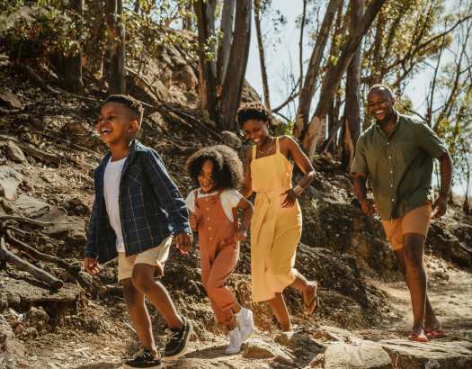 For All Seasons callout