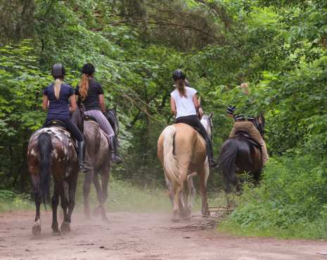 Horseback Riding callout