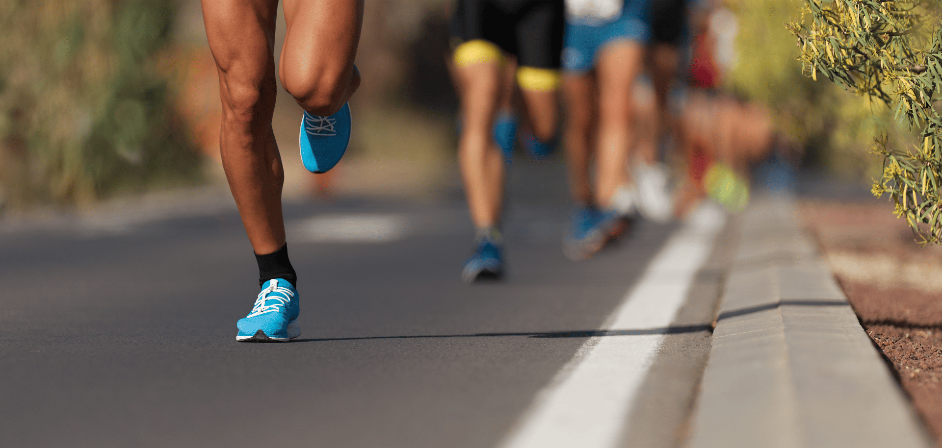 Blue Ridge Georgia Running Georgia Running Events & Cabins | Southern Comfort