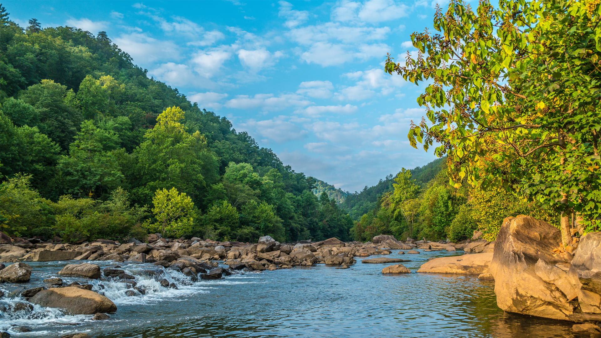 River Near Blue Ridge