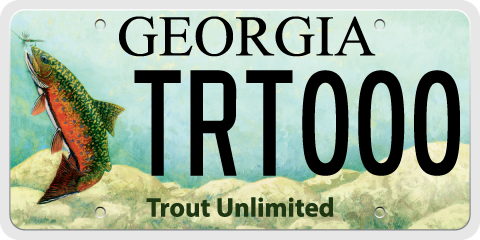 Things To Do Buy a Fishing License Online