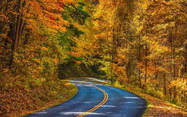 Scenic Drive callout