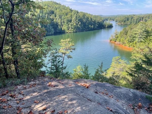 Lake Nottely Cabin Rentals