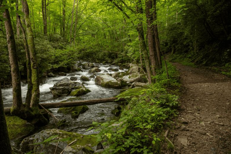 Bear Creak Trail
