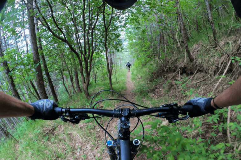 Beasley Knob and Nicholson Gap OHV Trail