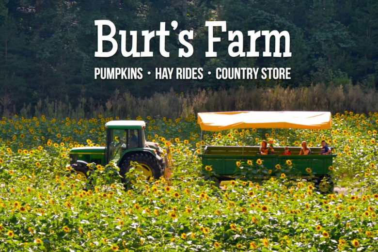 Dog with Apple in Mouth