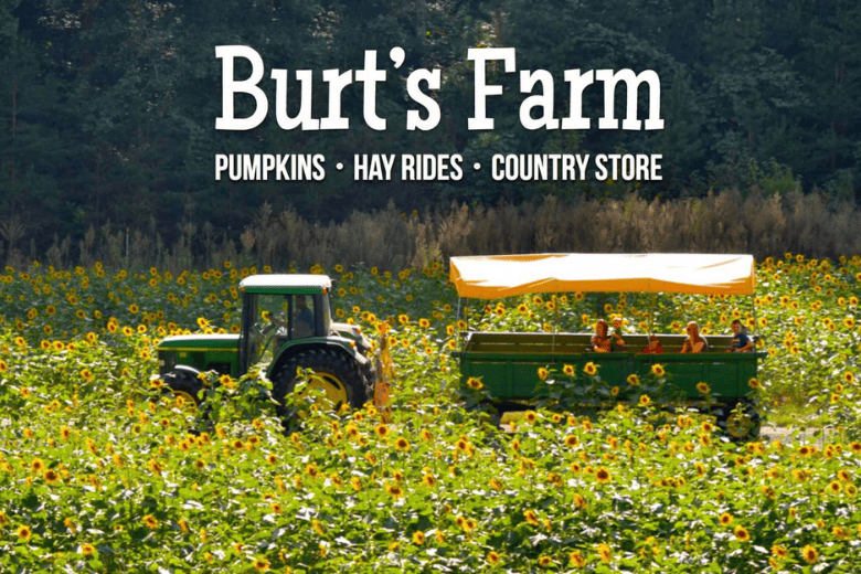 Burt's Farm