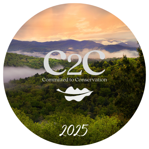 C2C Logo