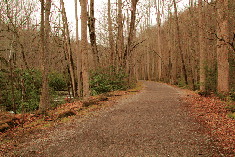 Cartecay River North Loop Trail