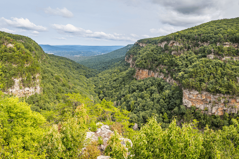 Cloudland Canyon State Park