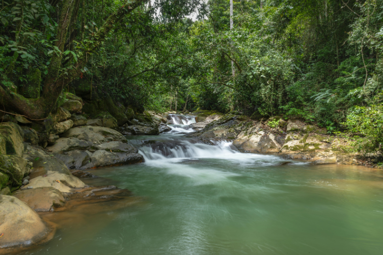Person on Bike on Trail