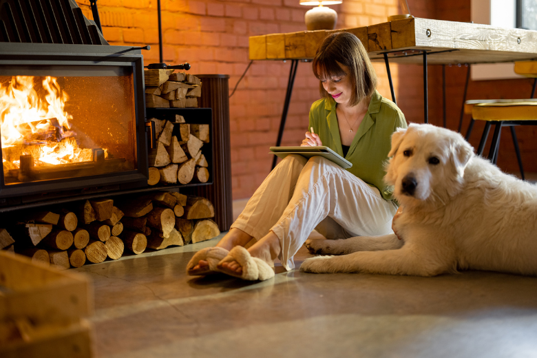 Dog and Person By Fireplace