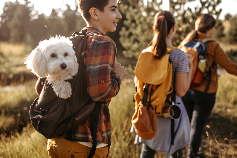 Dog in Backpack Hiking