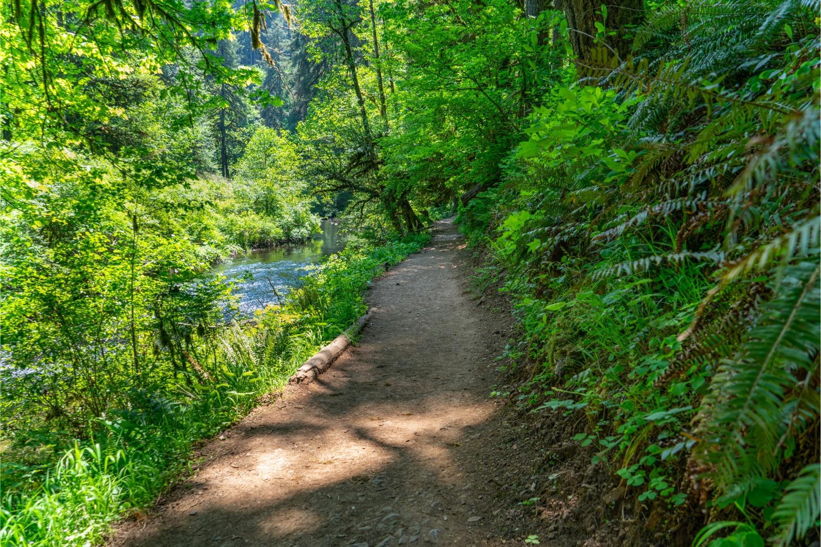 Emery Creek Trail