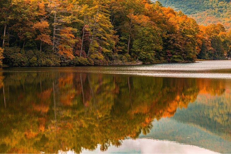 North Georgia Fall Season