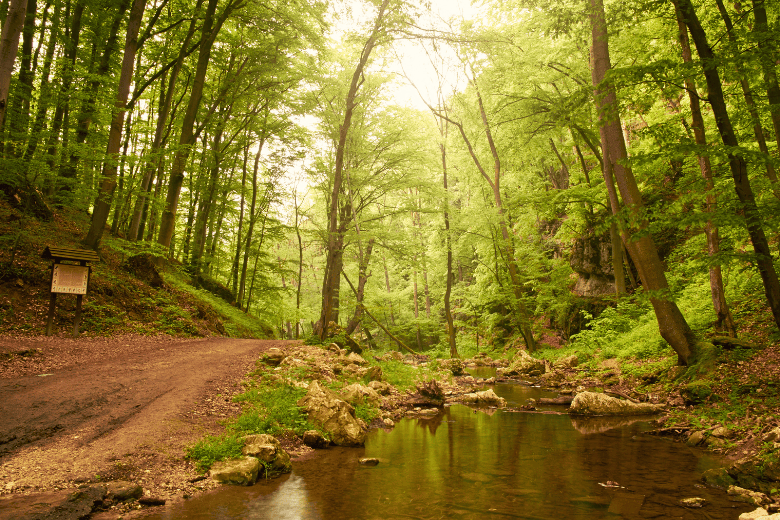 Fightingtown Creek Nature Park