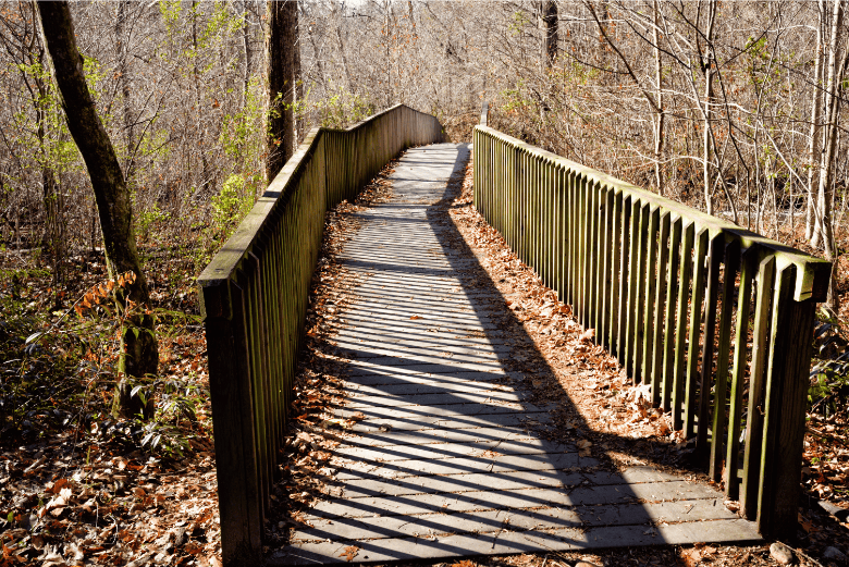 Helen to Unicoi Trail