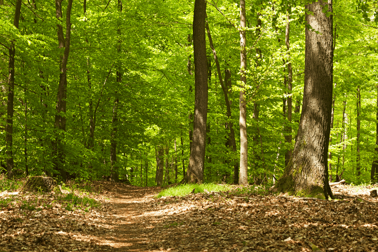 Helen to Hardman Heritage Trail