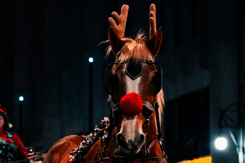 Horse in Holiday Dress