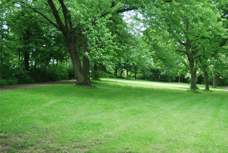 Meeks Park