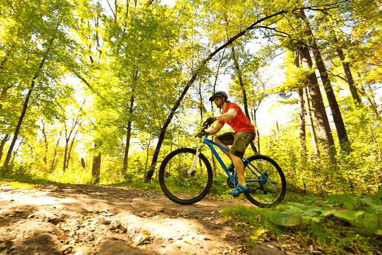 Unicoi State Park Mountain Bike Trail