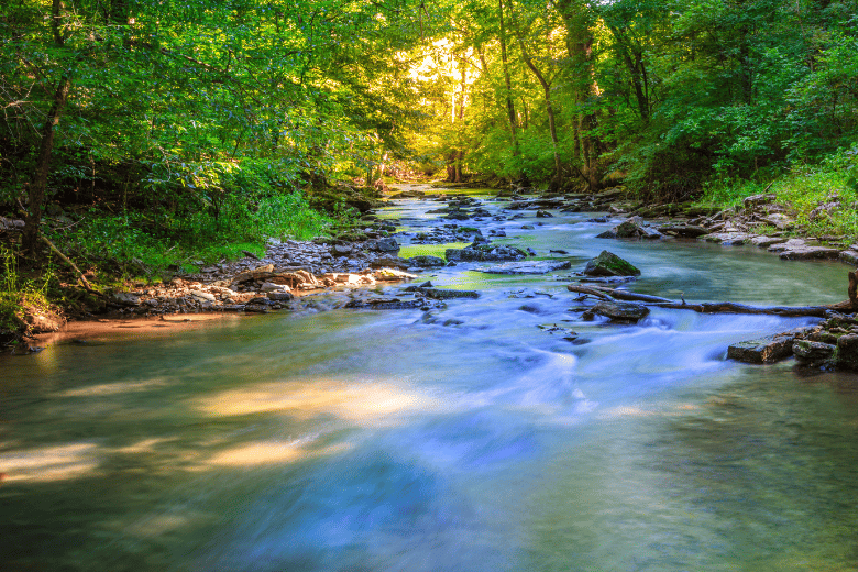 Mountaintown Creek Trail