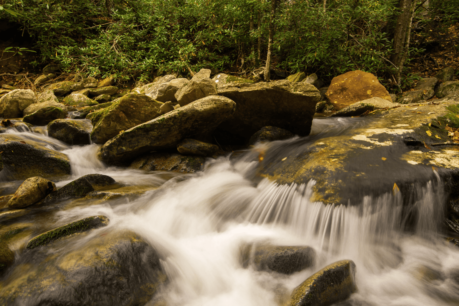 Nancy Womack Waterfall