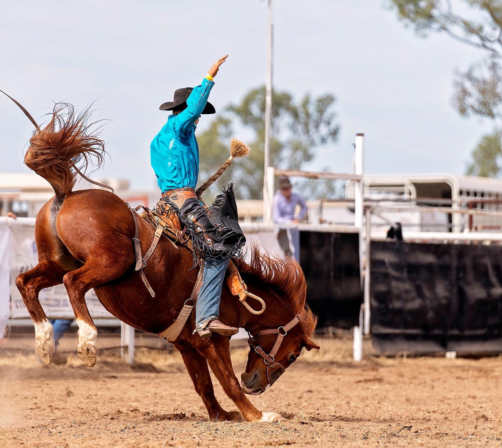 Cowboy in Rodeo