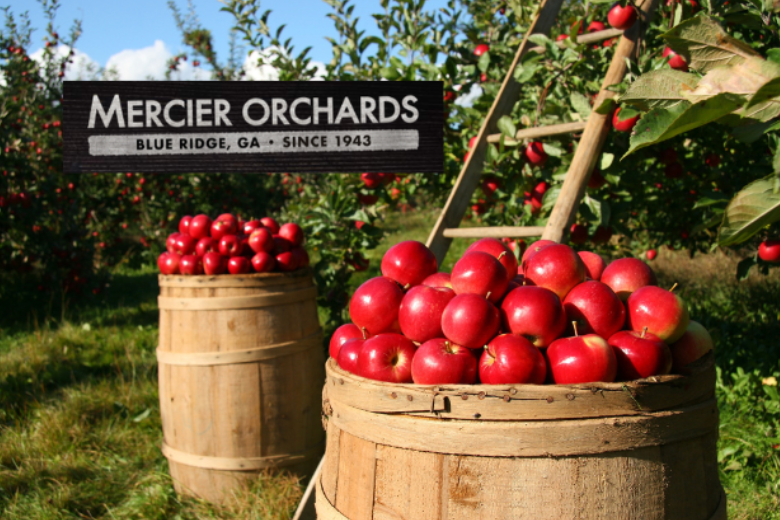 Mercier Orchards Logo