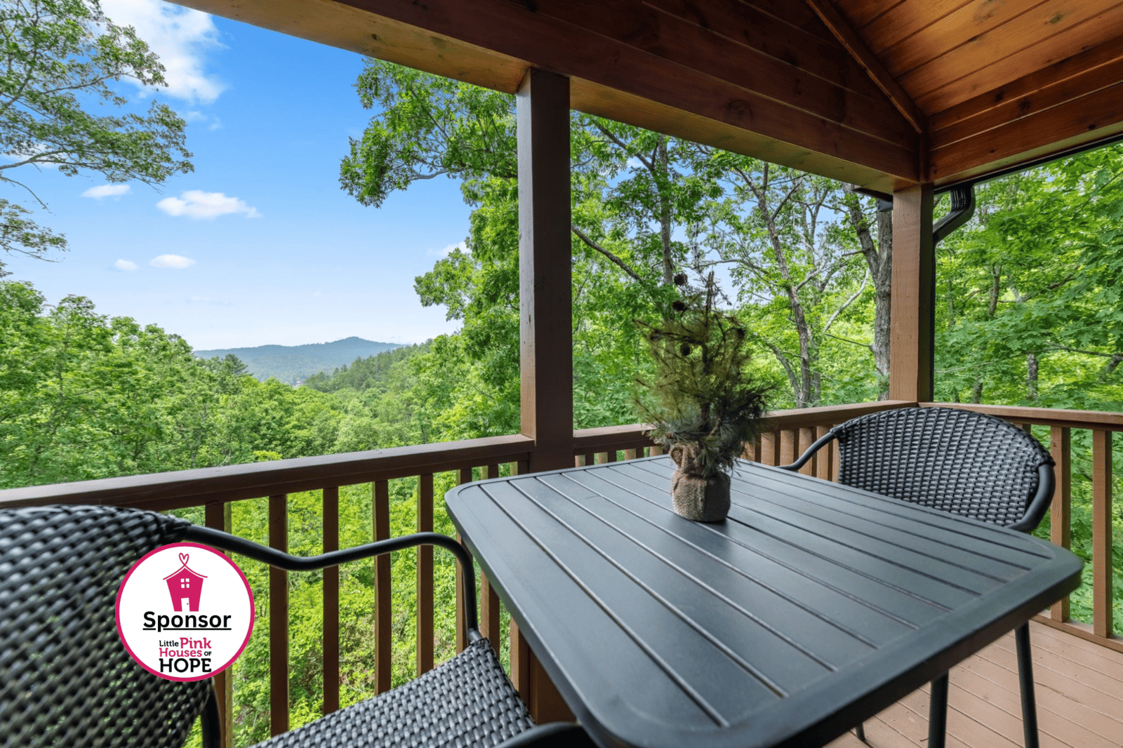 Stargazer Porch Looking Out