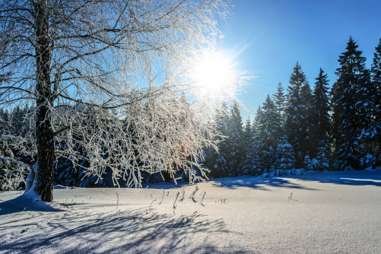 Sunshine over Snow Covered Field