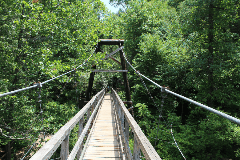 Swinging Bridge (Benton MacKaye Trail)