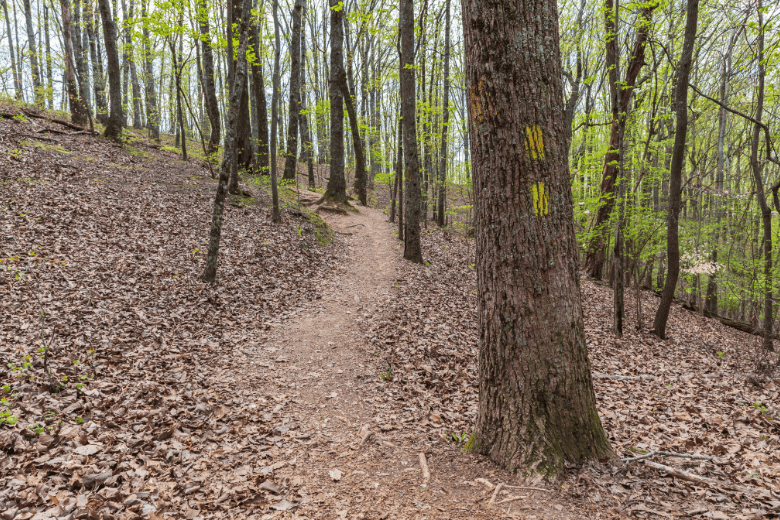 Woody Gap Trailhead